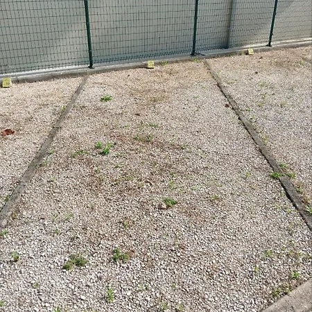 Apartman Delfino 19 *