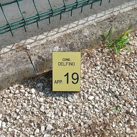 Delfino 19 Μπιμπιόνε