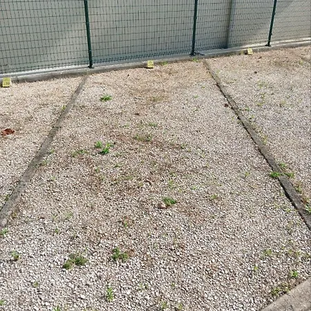 Apartament Delfino 19 *