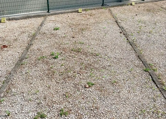 Apartment Delfino 19 *